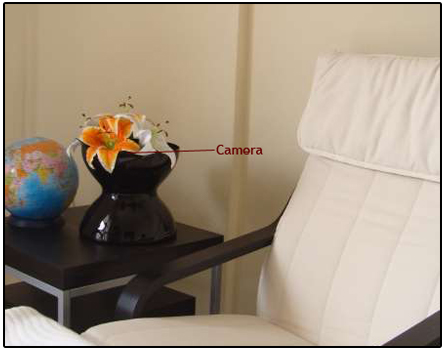 Spy Hidden Flower Pot Camera