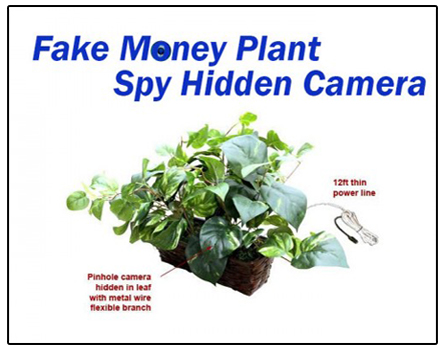 Spy Fake Money Plant Camera